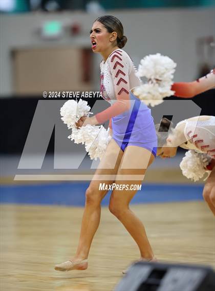 Thumbnail 1 in Cherry Creek (CHSAA 5A State Spirit Championships) photogallery.