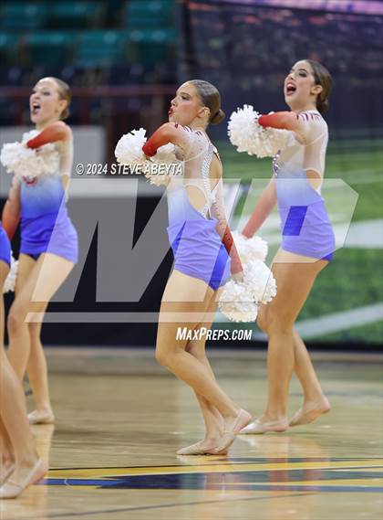 Thumbnail 2 in Cherry Creek (CHSAA 5A State Spirit Championships) photogallery.