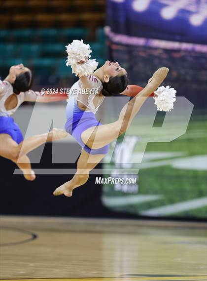 Thumbnail 2 in Cherry Creek (CHSAA 5A State Spirit Championships) photogallery.