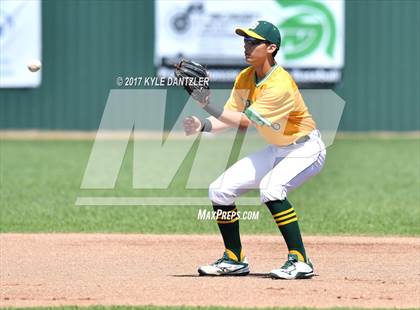 Thumbnail 3 in Prosper @ Newman Smith photogallery.