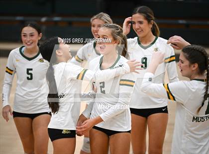 Thumbnail 3 in College Prep @ San Marin (CIF NCS D3 Quarterfinals) photogallery.