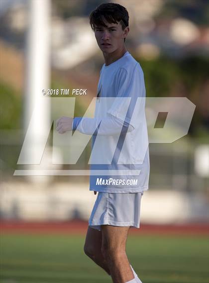 Thumbnail 3 in Brea Olinda @ El Modena photogallery.
