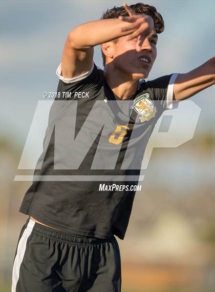 Thumbnail 2 in Brea Olinda @ El Modena photogallery.