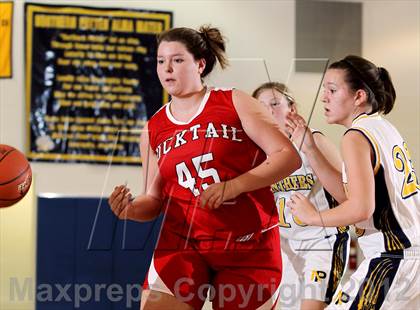 Thumbnail 2 in Bucktail @ Northern Potter photogallery.