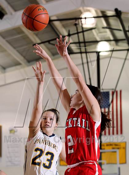 Thumbnail 3 in Bucktail @ Northern Potter photogallery.