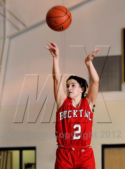 Thumbnail 3 in Bucktail @ Northern Potter photogallery.