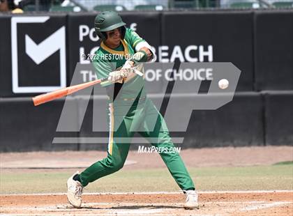 Thumbnail 1 in South Hills vs. Crespi (CIF-SS D2 Final) photogallery.