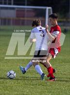 Photo from the gallery "Portville @ Randolph"