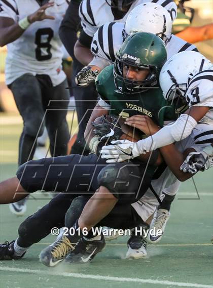 Thumbnail 2 in Sheldon @ Monterey Trail photogallery.