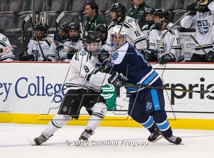 Thumbnail 1 in Delbarton vs. Christian Brothers (NJSIAA Non-Public Final) photogallery.