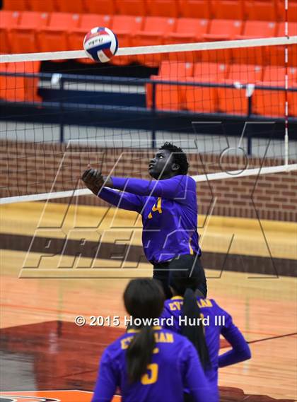 Thumbnail 1 in Everman @ Aledo photogallery.