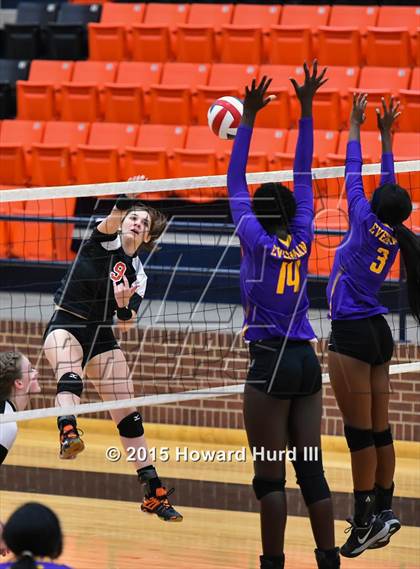 Thumbnail 3 in Everman @ Aledo photogallery.