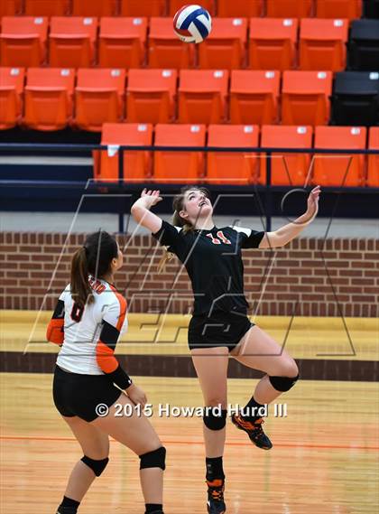 Thumbnail 1 in Everman @ Aledo photogallery.