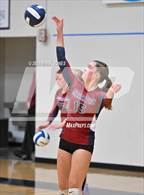 Photo from the gallery "Salome @ Anthem Prep"