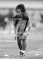 Photo from the gallery "Encinal @ James Logan"