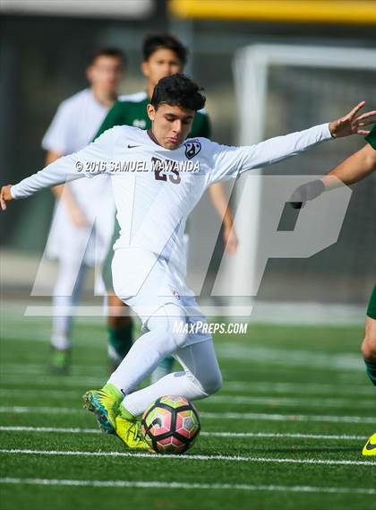 Thumbnail 2 in Canoga Park @ Crespi (Crespi Classic) photogallery.