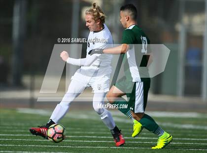 Thumbnail 2 in Canoga Park @ Crespi (Crespi Classic) photogallery.