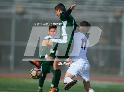 Thumbnail 3 in Canoga Park @ Crespi (Crespi Classic) photogallery.