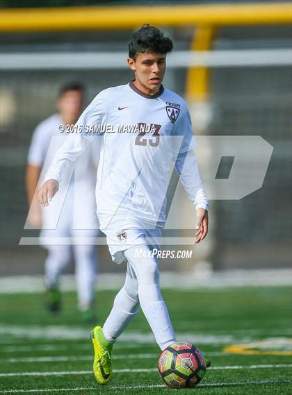 Thumbnail 1 in Canoga Park @ Crespi (Crespi Classic) photogallery.