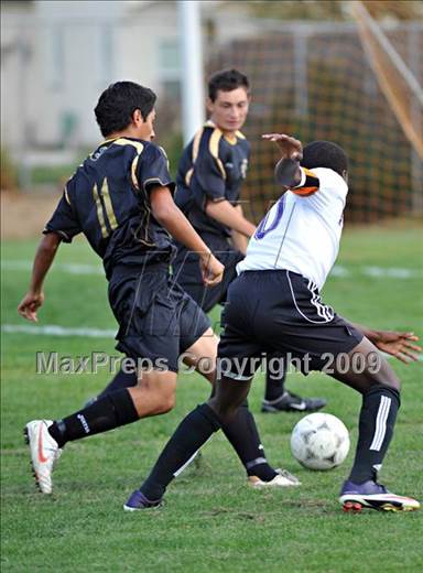 null - Photo 31