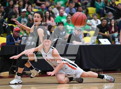 Thumbnail 2 in Sterling vs. St. Mary's (CHSAA 3A Great 8) photogallery.