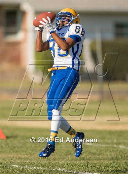 Thumbnail 3 in Pierce @ Esparto photogallery.