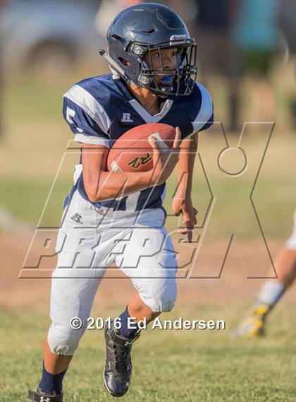 Thumbnail 1 in Pierce @ Esparto photogallery.