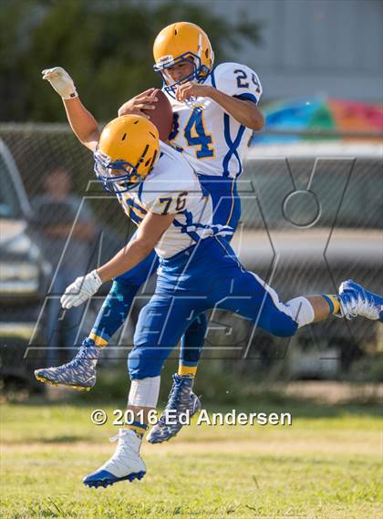 Thumbnail 3 in Pierce @ Esparto photogallery.