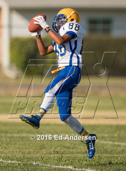 Thumbnail 1 in Pierce @ Esparto photogallery.