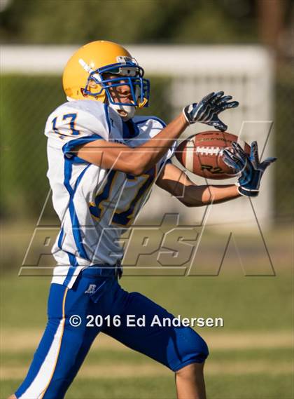 Thumbnail 3 in Pierce @ Esparto photogallery.