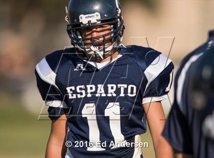 Thumbnail 3 in Pierce @ Esparto photogallery.