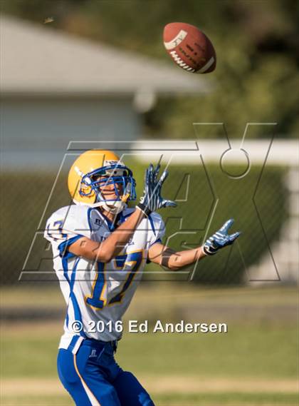 Thumbnail 2 in Pierce @ Esparto photogallery.