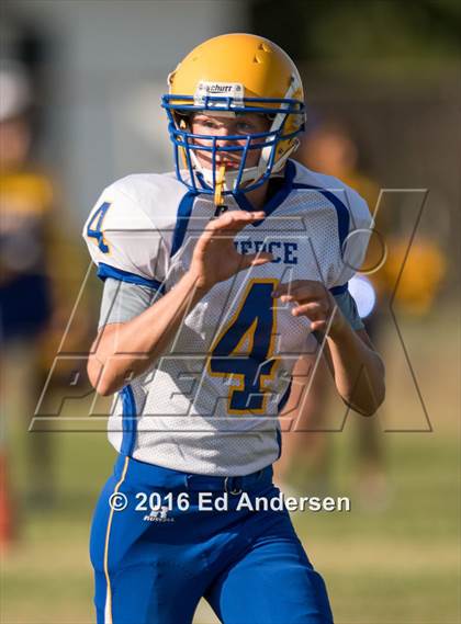 Thumbnail 3 in Pierce @ Esparto photogallery.