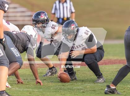 Thumbnail 3 in JV: Navarre @ Tate photogallery.