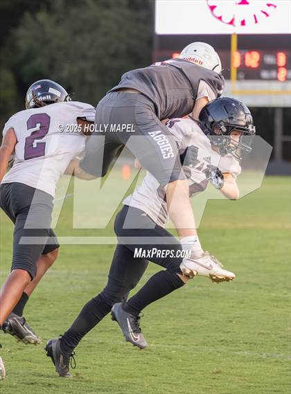 Thumbnail 3 in JV: Navarre @ Tate photogallery.