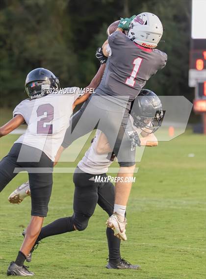 Thumbnail 2 in JV: Navarre @ Tate photogallery.
