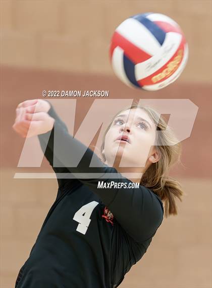 Thumbnail 2 in Pinecrest Academy Cadence @ Virgin Valley photogallery.