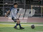 Photo from the gallery "Marshall @ Muir"