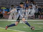 Photo from the gallery "Marshall @ Muir"