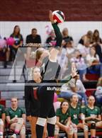Photo from the gallery "Green Canyon @ Logan"