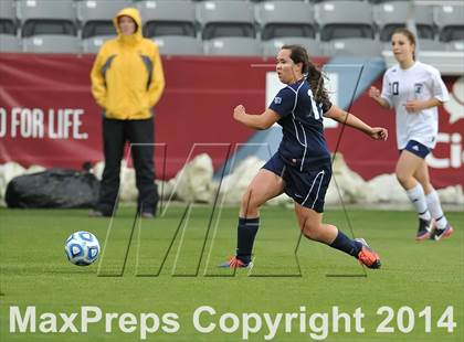 Thumbnail 1 in Columbine vs. Ralston Valley (CHSAA 5A Final) photogallery.