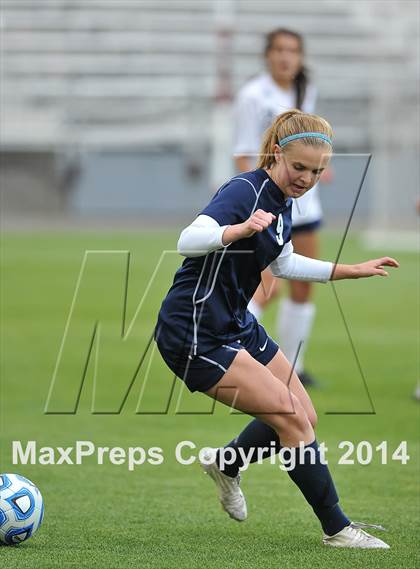 Thumbnail 1 in Columbine vs. Ralston Valley (CHSAA 5A Final) photogallery.