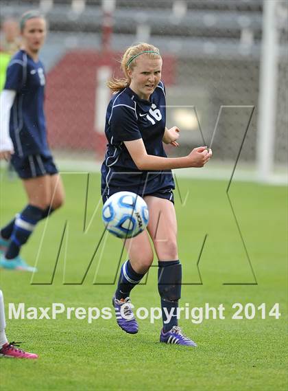Thumbnail 1 in Columbine vs. Ralston Valley (CHSAA 5A Final) photogallery.