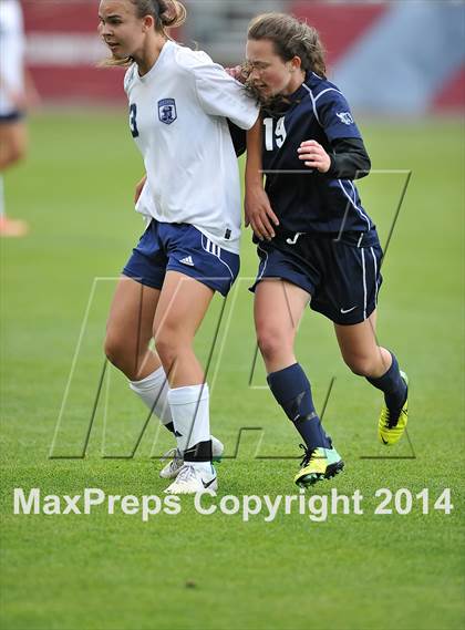 Thumbnail 1 in Columbine vs. Ralston Valley (CHSAA 5A Final) photogallery.
