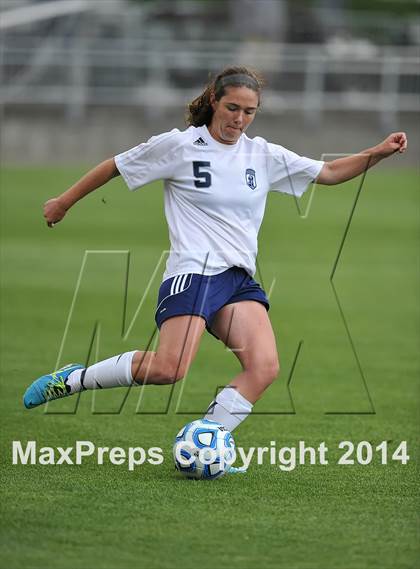 Thumbnail 1 in Columbine vs. Ralston Valley (CHSAA 5A Final) photogallery.