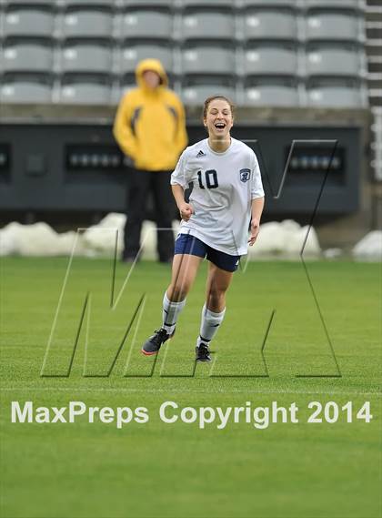 Thumbnail 1 in Columbine vs. Ralston Valley (CHSAA 5A Final) photogallery.