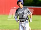 Photo from the gallery "Rosepine @ Pickering"
