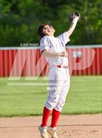 Photo from the gallery "Rosepine @ Pickering"