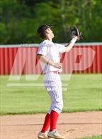 Photo from the gallery "Rosepine @ Pickering"