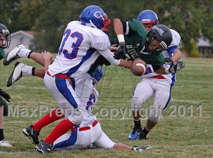 Thumbnail 2 in Centaurus vs D'Evelyn JV photogallery.